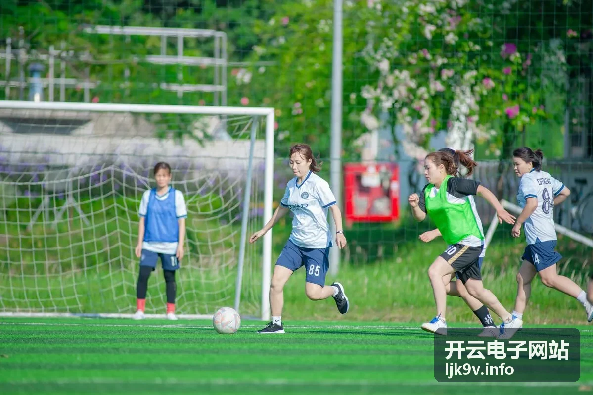 开云电子网站消费电子整机
